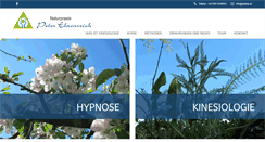 Desktop Screenshot of epkine.at